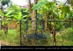 Exclusive Land for Sale Kurunegala Lake Round (Wewa Rawuma) | කුරුණෑගල වැව රවුමෙන් අගනා පර්චස් 15ක ඉඩමක් වහාම විකිණේ